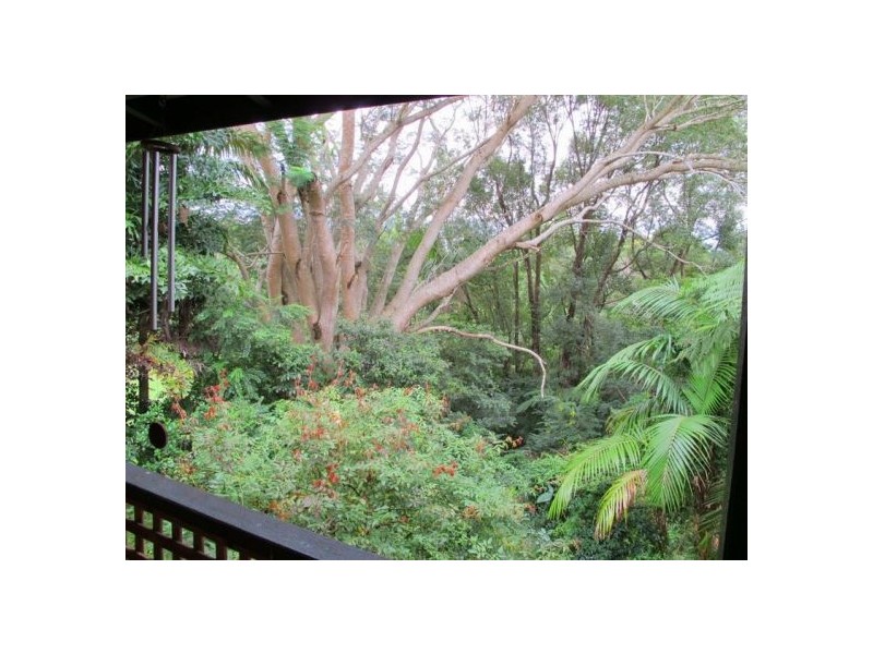 11 Dillon Close, Bellingen NSW 2454