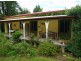 Dorrigo NSW 2453