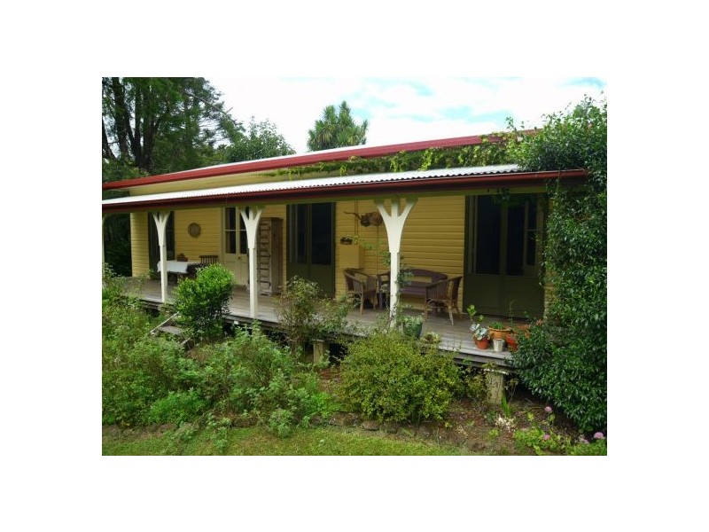 Dorrigo NSW 2453