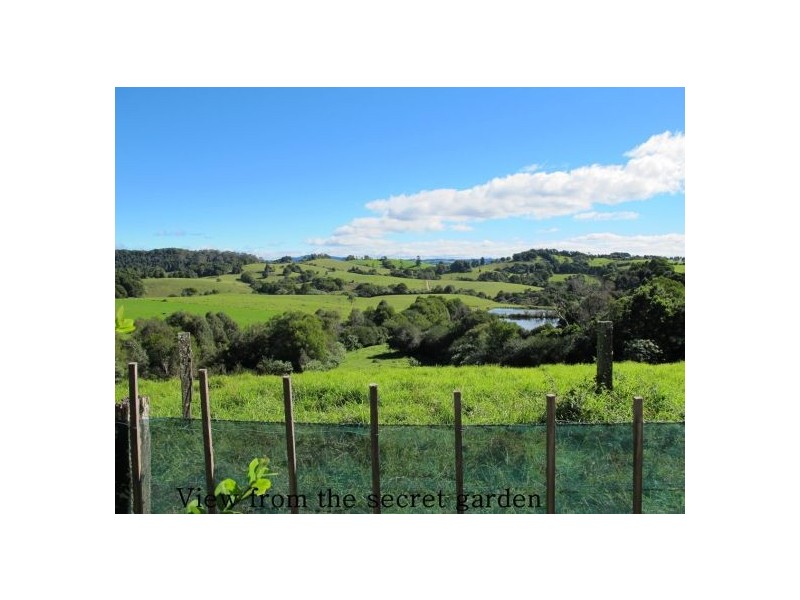 Dorrigo NSW 2453