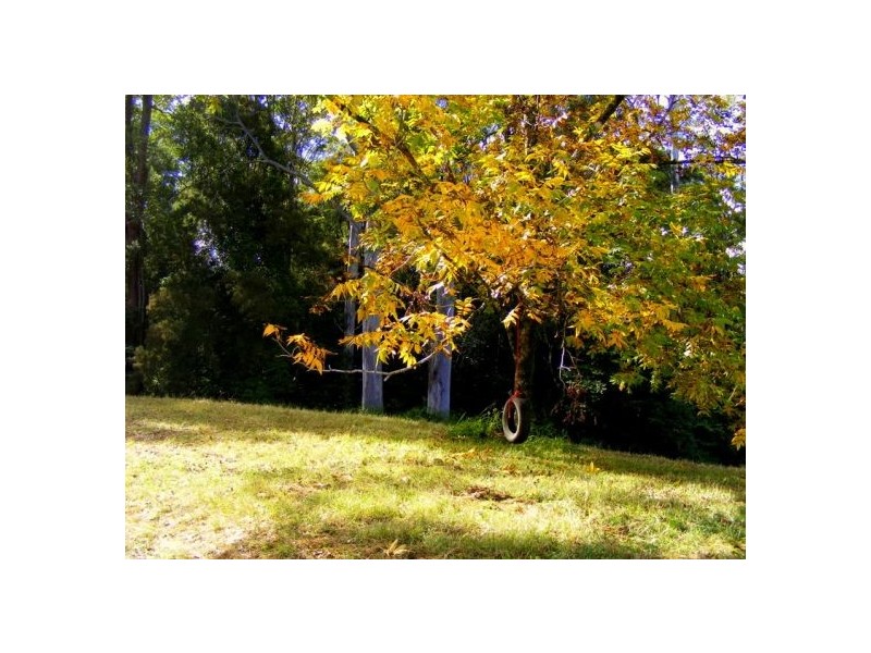Lot 1 133 Timboon Rd, Bellingen NSW 2454