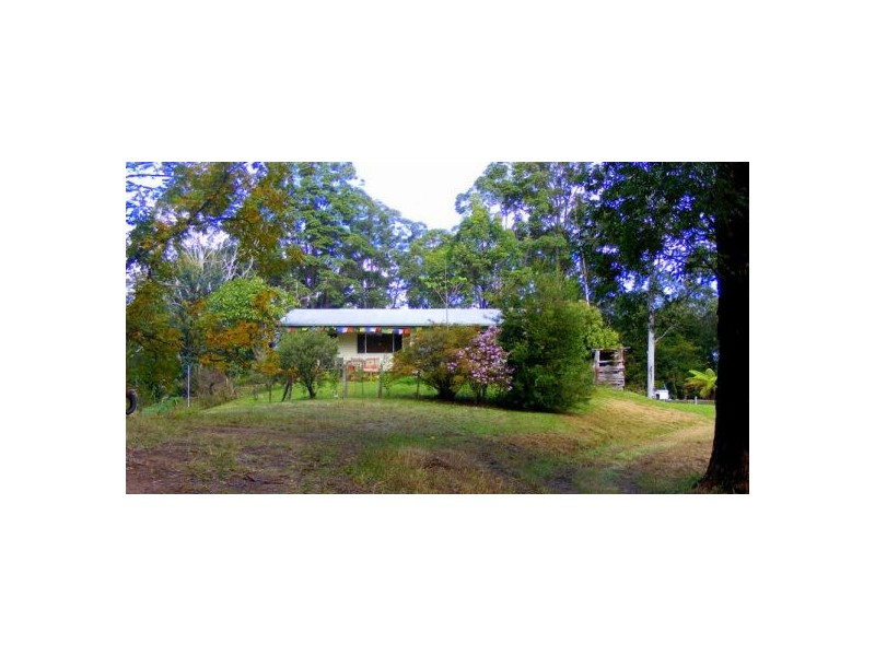 Lot 1 133 Timboon Rd, Bellingen NSW 2454