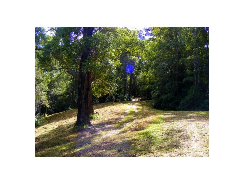 Lot 1 133 Timboon Rd, Bellingen NSW 2454