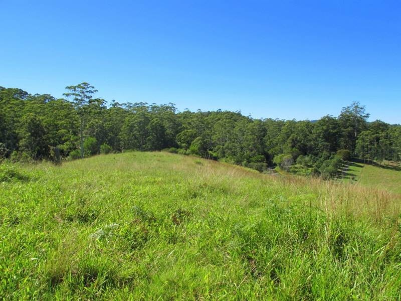 558 Kalang Road, Bellingen NSW 2454