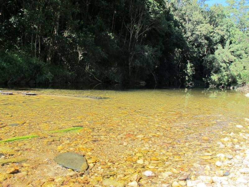 558 Kalang Road, Bellingen NSW 2454