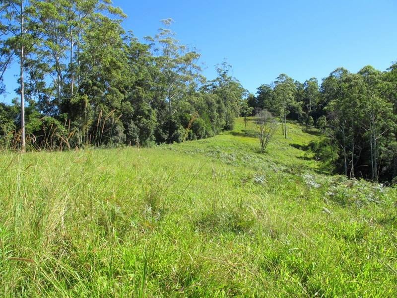 558 Kalang Road, Bellingen NSW 2454