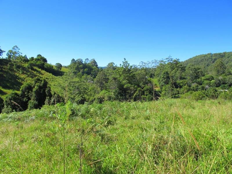 558 Kalang Road, Bellingen NSW 2454
