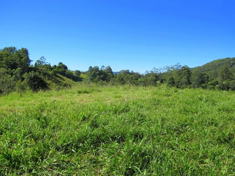 558 Kalang Road, Bellingen NSW 2454