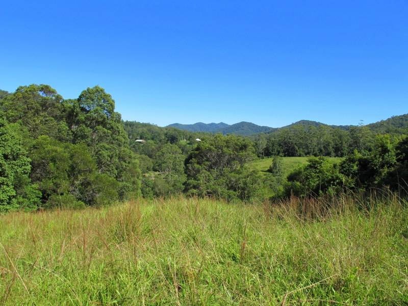 558 Kalang Road, Bellingen NSW 2454