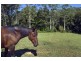 1385 Waterfall Way, Bellingen NSW 2454