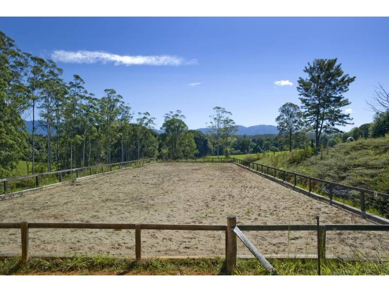 1385 Waterfall Way, Bellingen NSW 2454