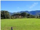 51 Promised Land Road, Bellingen NSW 2454