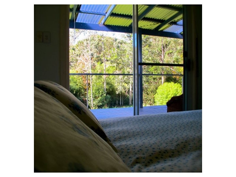 1540 Kalang Rd, Bellingen NSW 2454