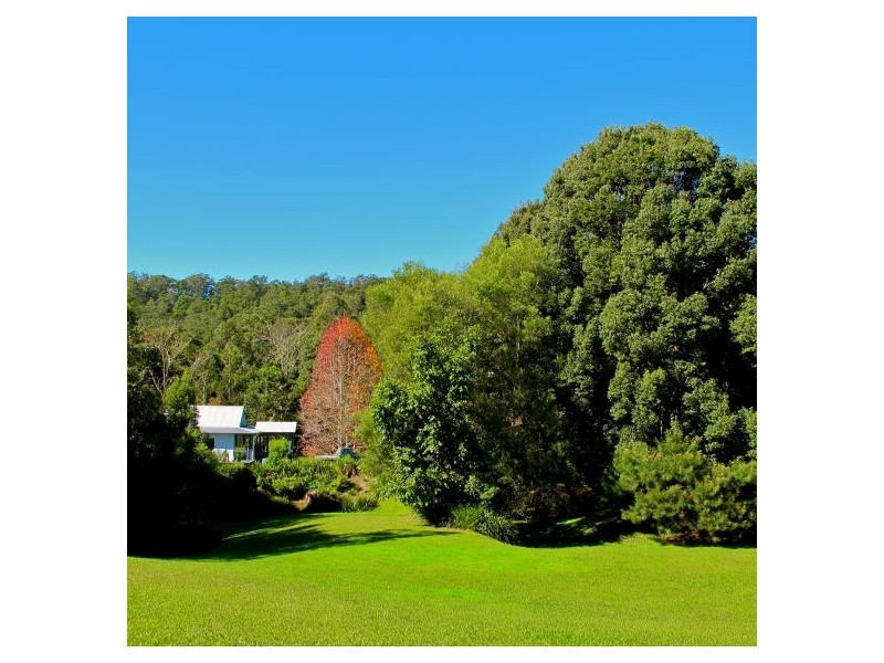1540 Kalang Rd, Bellingen NSW 2454
