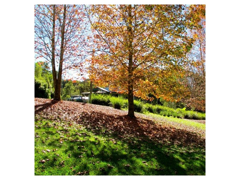 1540 Kalang Rd, Bellingen NSW 2454