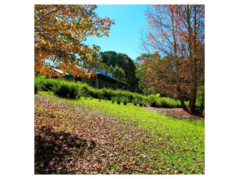 1540 Kalang Rd, Bellingen NSW 2454