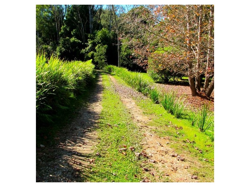 1540 Kalang Rd, Bellingen NSW 2454