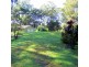 335A Kalang Rd, Bellingen NSW 2454
