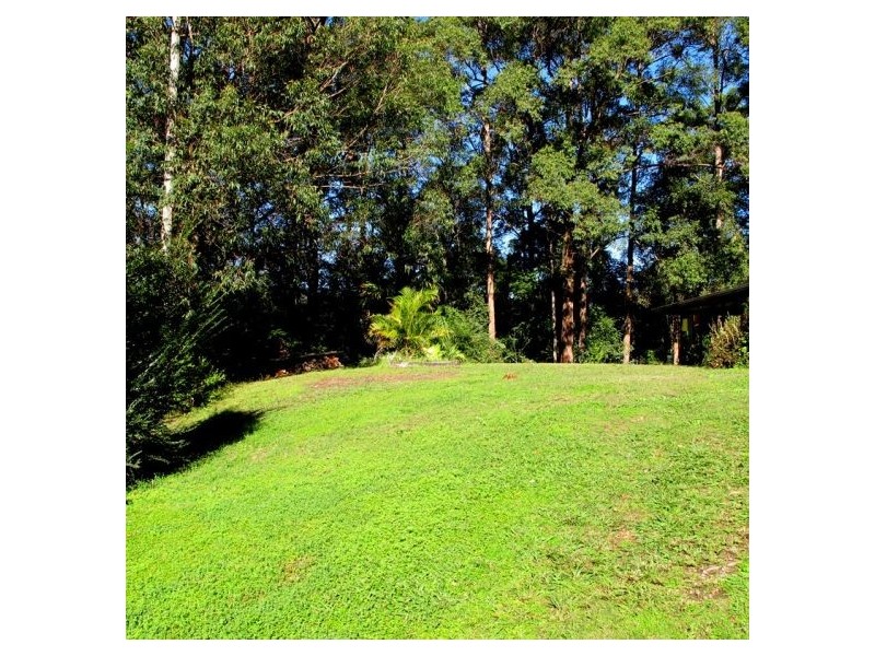 335A Kalang Rd, Bellingen NSW 2454