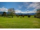 Bellingen NSW 2454