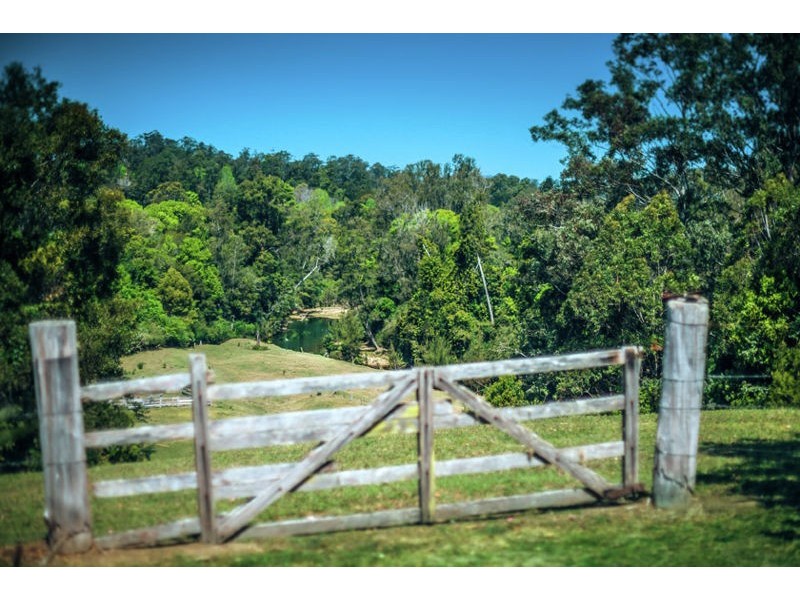 184 Kalang Road, Bellingen NSW 2454