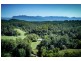 184 Kalang Road, Bellingen NSW 2454