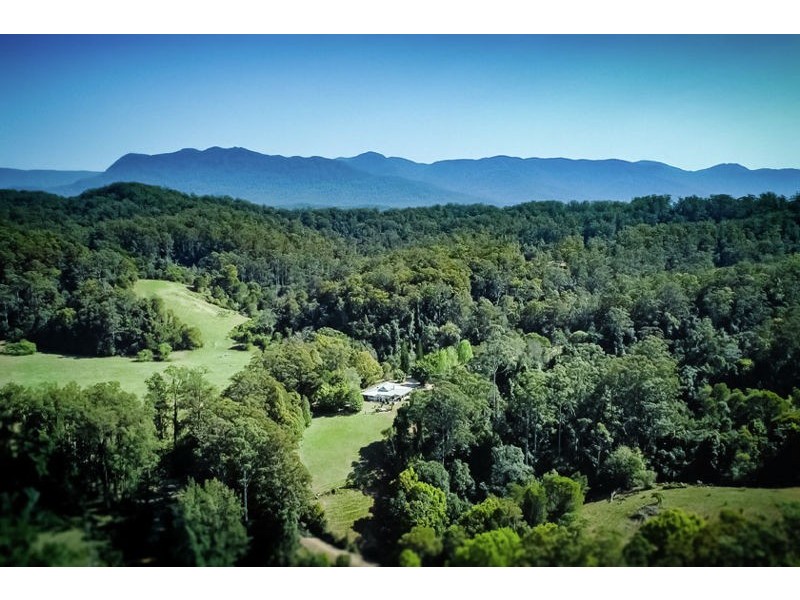 184 Kalang Road, Bellingen NSW 2454