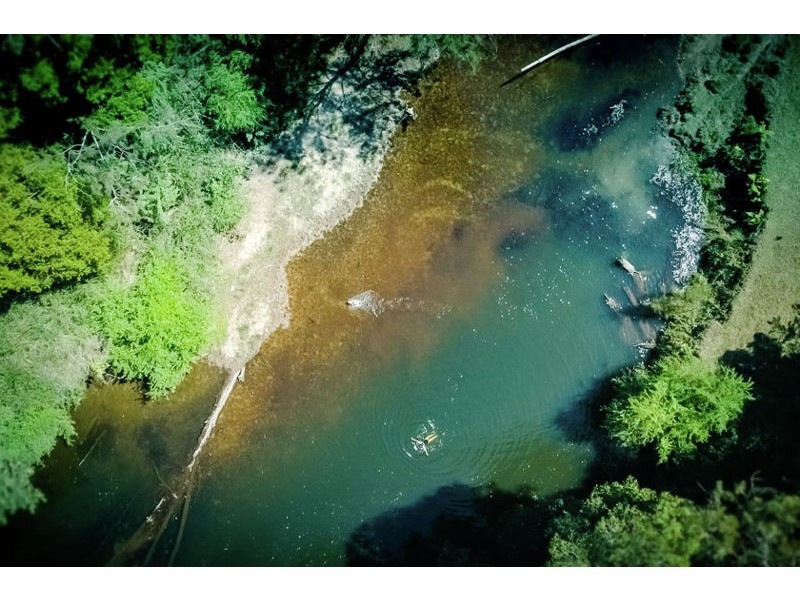 184 Kalang Road, Bellingen NSW 2454