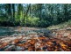 184 Kalang Road, Bellingen NSW 2454