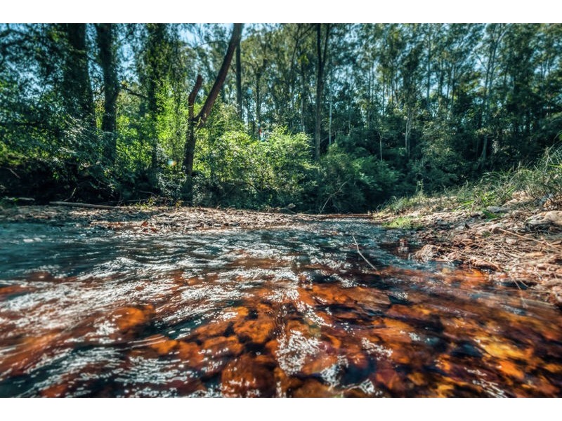 184 Kalang Road, Bellingen NSW 2454