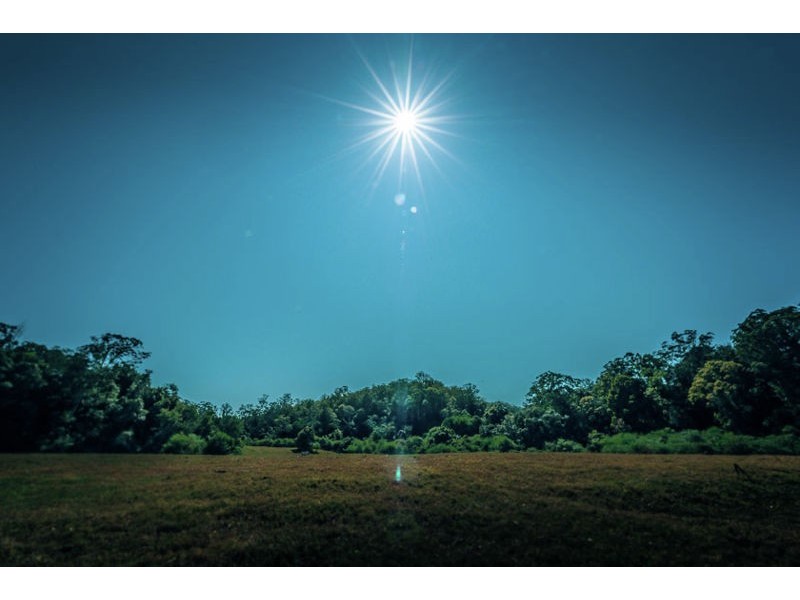 184 Kalang Road, Bellingen NSW 2454