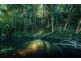 184 Kalang Road, Bellingen NSW 2454