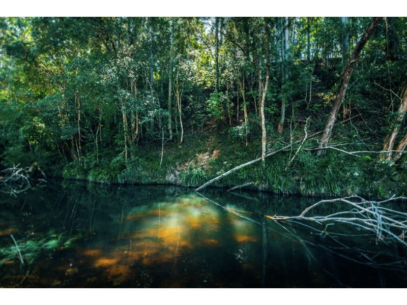 184 Kalang Road, Bellingen NSW 2454