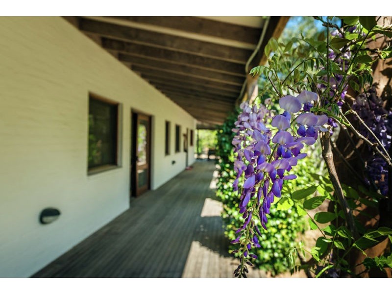 184 Kalang Road, Bellingen NSW 2454