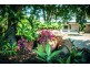 184 Kalang Road, Bellingen NSW 2454