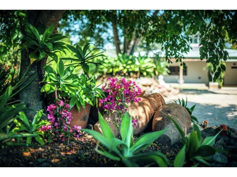 184 Kalang Road, Bellingen NSW 2454
