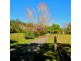 Bellingen NSW 2454