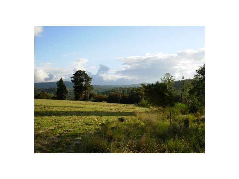 333 Moonpar Rd, Dorrigo NSW 2453