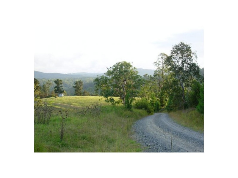 333 Moonpar Rd, Dorrigo NSW 2453