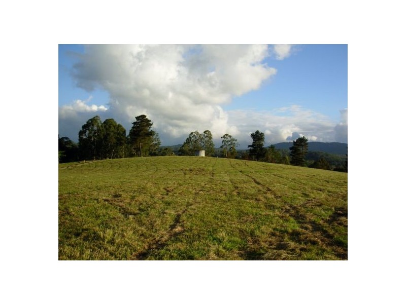 333 Moonpar Rd, Dorrigo NSW 2453
