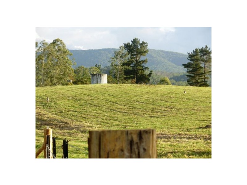 333 Moonpar Rd, Dorrigo NSW 2453