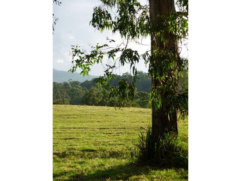 333 Moonpar Rd, Dorrigo NSW 2453