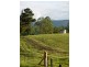 333 Moonpar Rd, Dorrigo NSW 2453