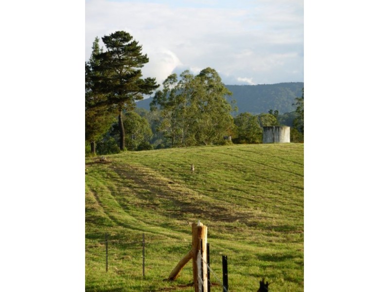 333 Moonpar Rd, Dorrigo NSW 2453
