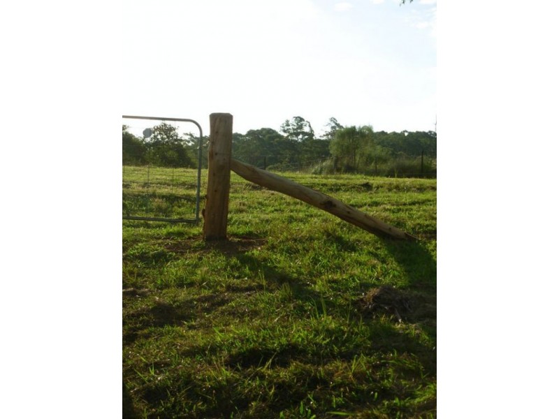 333 Moonpar Rd, Dorrigo NSW 2453