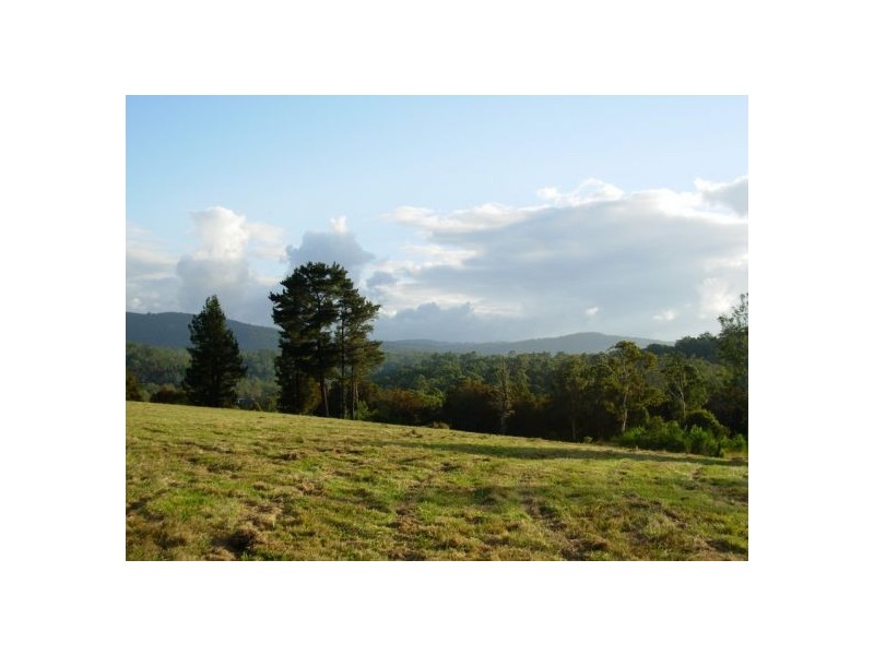 333 Moonpar Rd, Dorrigo NSW 2453