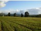 333 Moonpar Rd, Dorrigo NSW 2453