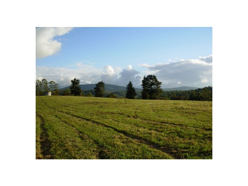 333 Moonpar Rd, Dorrigo NSW 2453