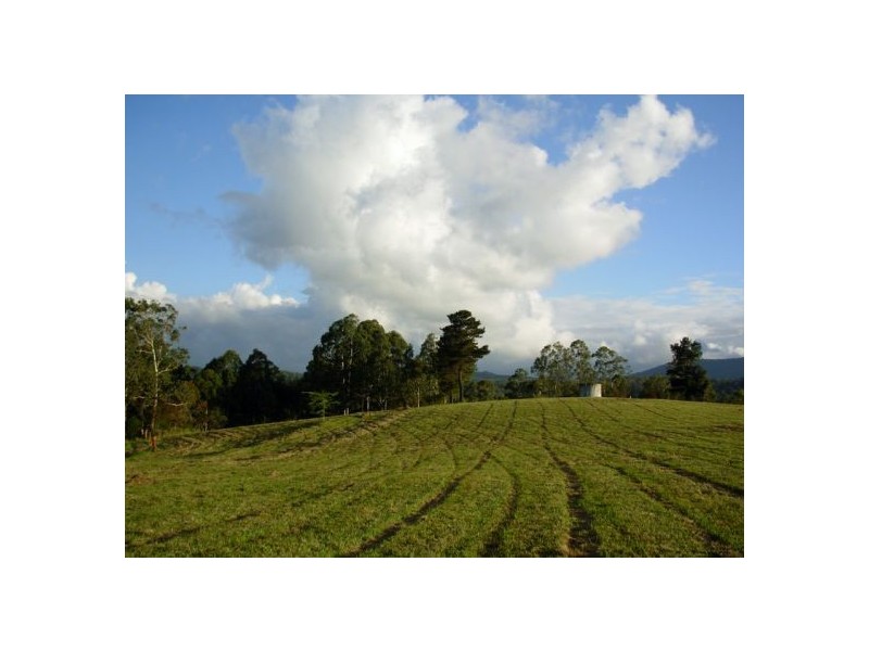 333 Moonpar Rd, Dorrigo NSW 2453