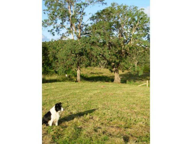 333 Moonpar Rd, Dorrigo NSW 2453